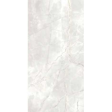 Gres Porcellanato Effetto Marmo Naturale Grigio Chiaro Opaco Rt 60X120 - EAPL1505 (Ceramishop.it)