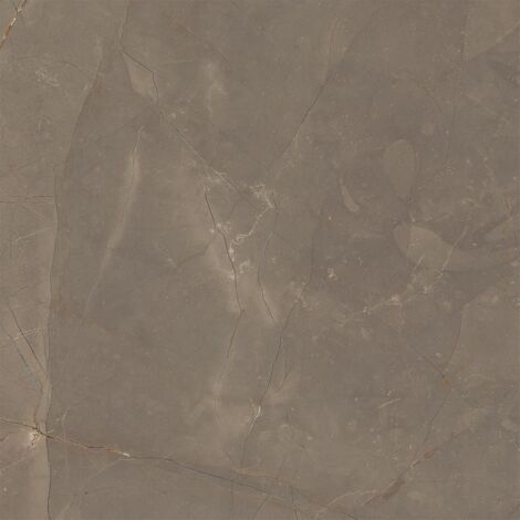 Gres Porcellanato Effetto Marmo Naturale Marrone Opaco Rt 60X60 - EAOD1510 (Ceramishop.it)