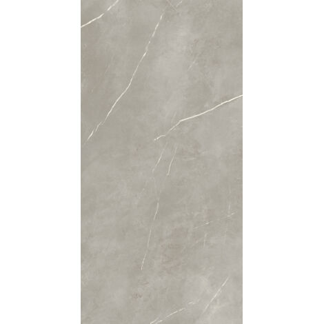 Gres Porcellanato Effetto Marmo Royal Grigio Lucido 60X120 - EPYF166 (Ceramishop.it)