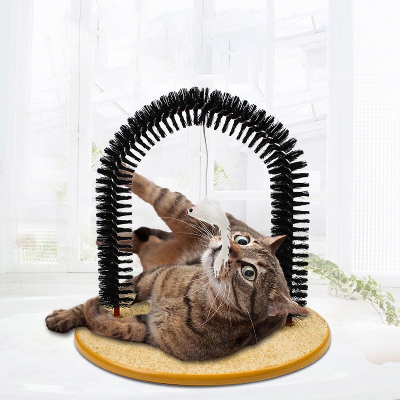 Griffoir pour chat, épurateur pour poils de chat en arc, jouet pour épurateur pour animaux de compagnie