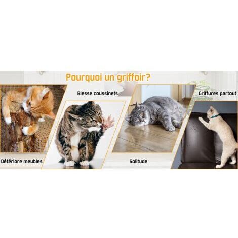 Griffoir pour Chats Carton - Grattoir Multi-Formes Pliant, Jouet Interactif avec Cloche Dérouvable, Stimule l'Instinct de Chasse Félins