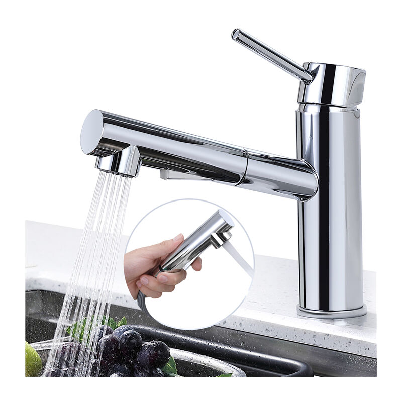 

Grifo de Cocina Extraíble Acero Inoxidable Giratorio a 120º Grifo Cromado Plateado para Doble Fregadero de Cocina 2 Funciones Agua Fría y Caliente