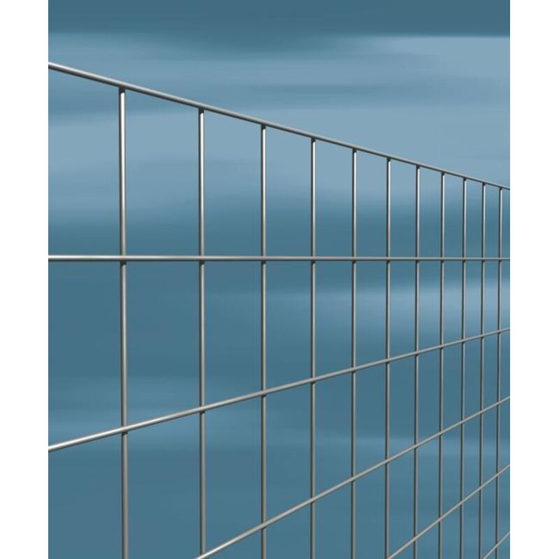 Rete elettr zincata 50X75 margherita Cavatorta