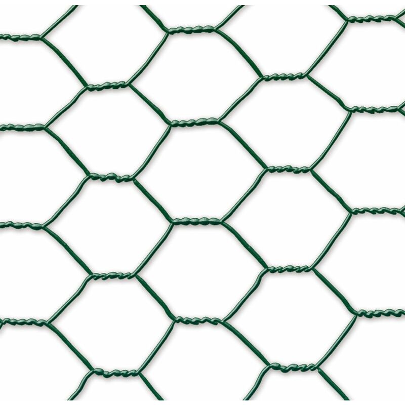 Nortene - Grillage métal plastifié - 1 x 10 m/13 x 0,7 mm Galvanex Plast 13 - triple torsion - Vert
