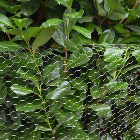 Grillage Métallique pour Cloture | Maillage Hexagonal : 25x25mm | Longueur 25m | Hauteur 100cm | Clôture pour animaux et plantes | Galvanisé 0.8mm