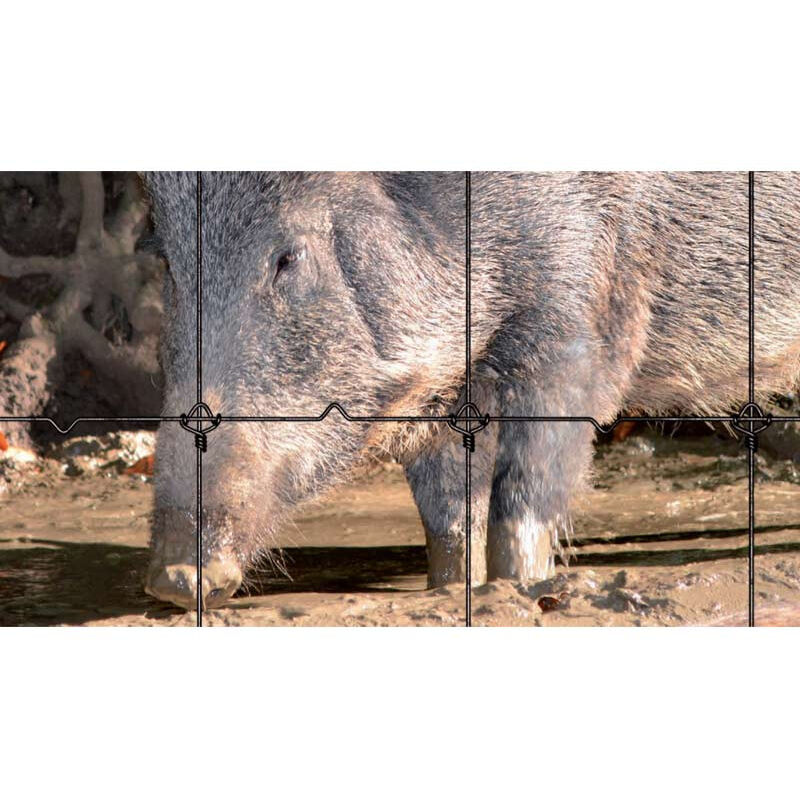 Grillage noué lourd 140/11/15 - Galvanisation riche