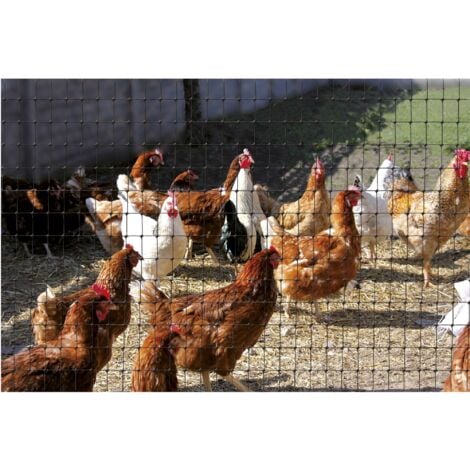 Grillage plastique noir 1x10m - Noir