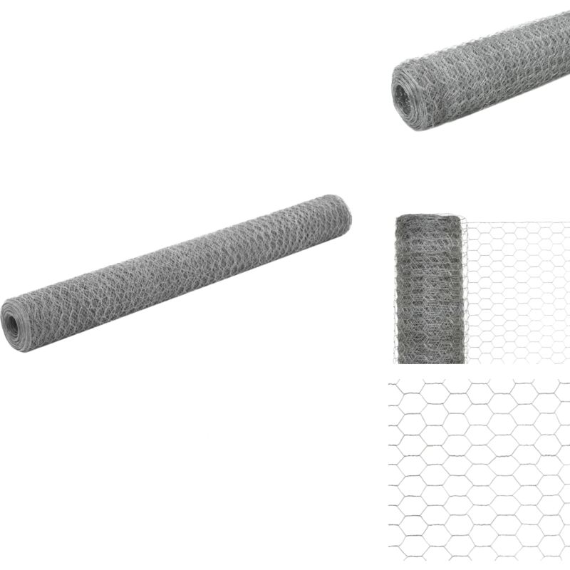 Grillage pour volière Acier galvanisé 25x1,2 m Argenté - Clôture - Grillage - Clôture Jardin - Volière - Cage à Lapins