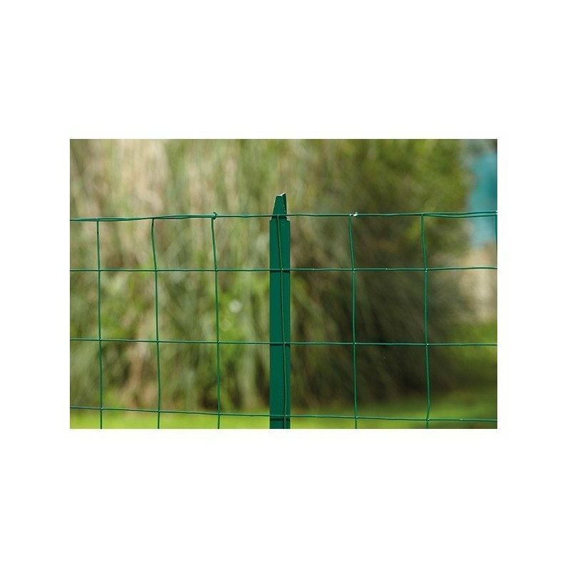 Grillage axial promo vert-1m00-20ml