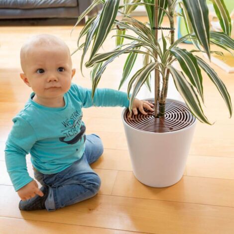 Grille de protection pour plante