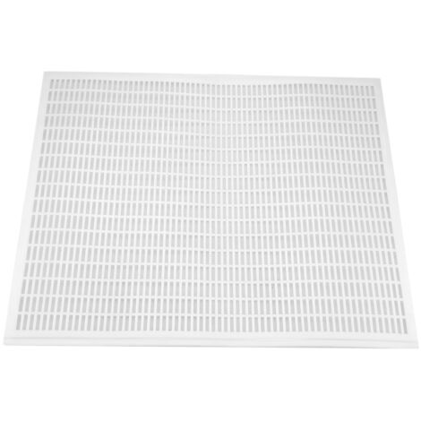 Grille d'Exclusion pour Reine d'Abeilles - 10 Cadres en Plastique pour Apiculture