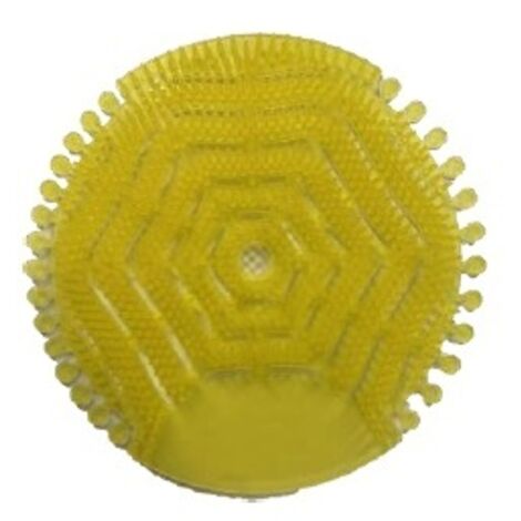 Grille urinoir parfumee anti eclaboussure mangue - sachet de 2