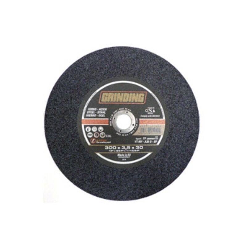 Grinding disco x tronc. ferro D.300X3,5 vtmf