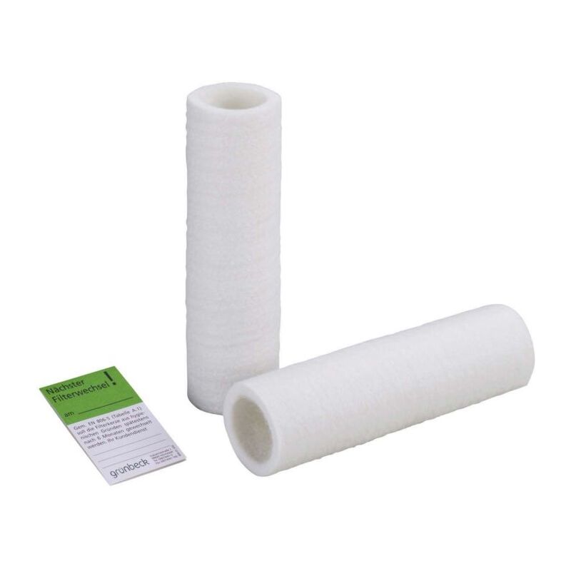Cartouche filtrante de rechange Grünbeck 103075 taille 80 µm. 2000 sans cloche de protection, pack de 2