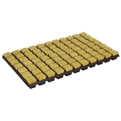 GRODAN - Plaque de 77 cubes de laine de roche - 36x36x40mm