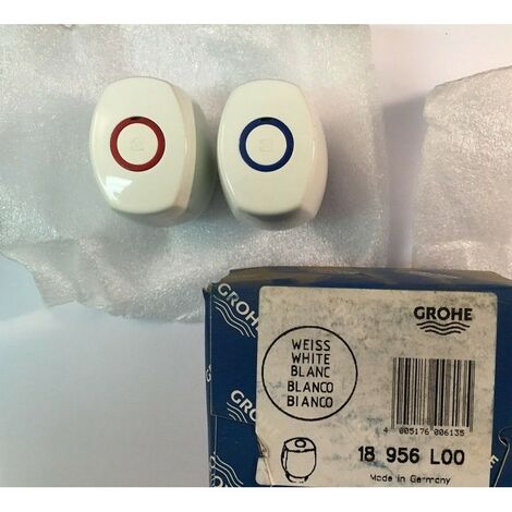 Grohe 18956L00 - Têtes de rechange pour Robinet - BLANC