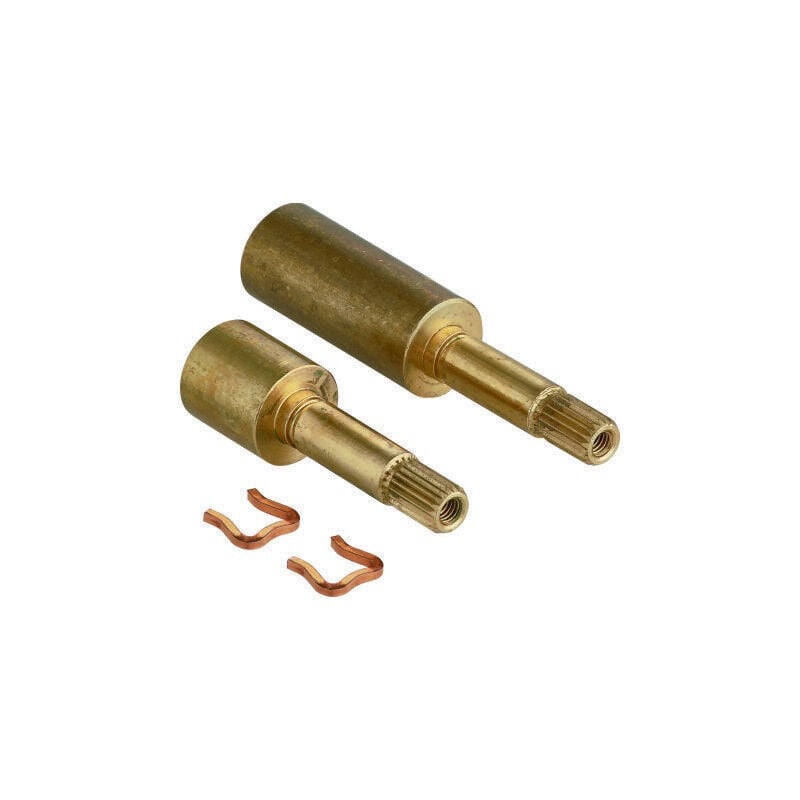 Prolongation De Tige