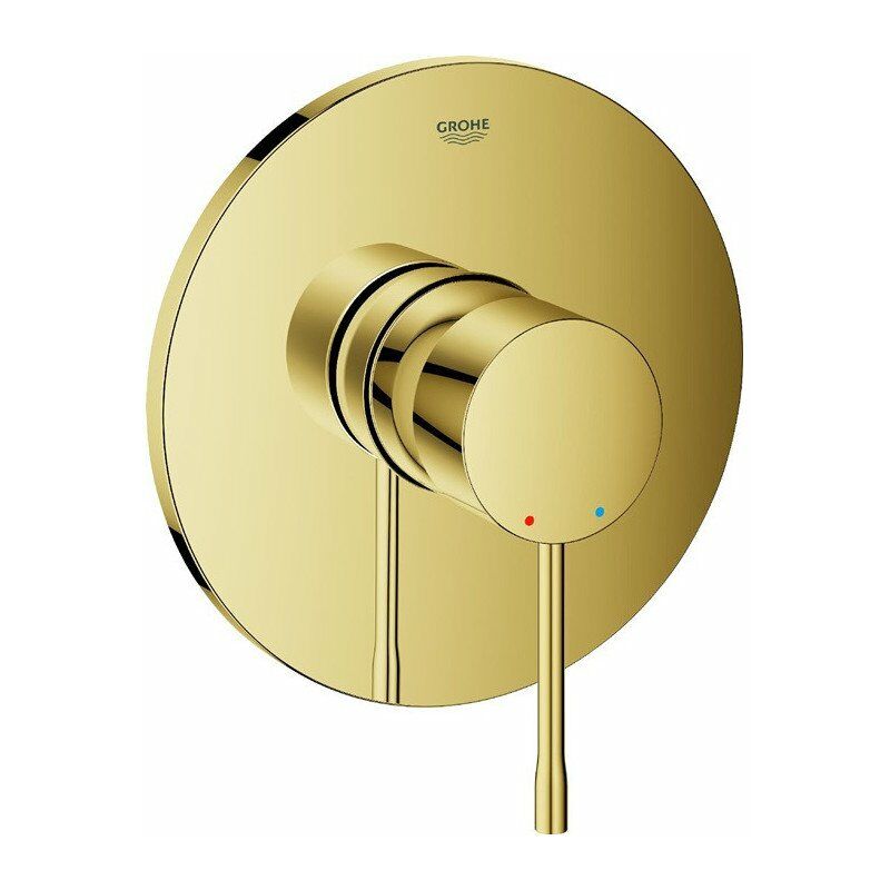 

Mezclador de ducha de mano Essence 24057 FMS para 35600 oro brillante