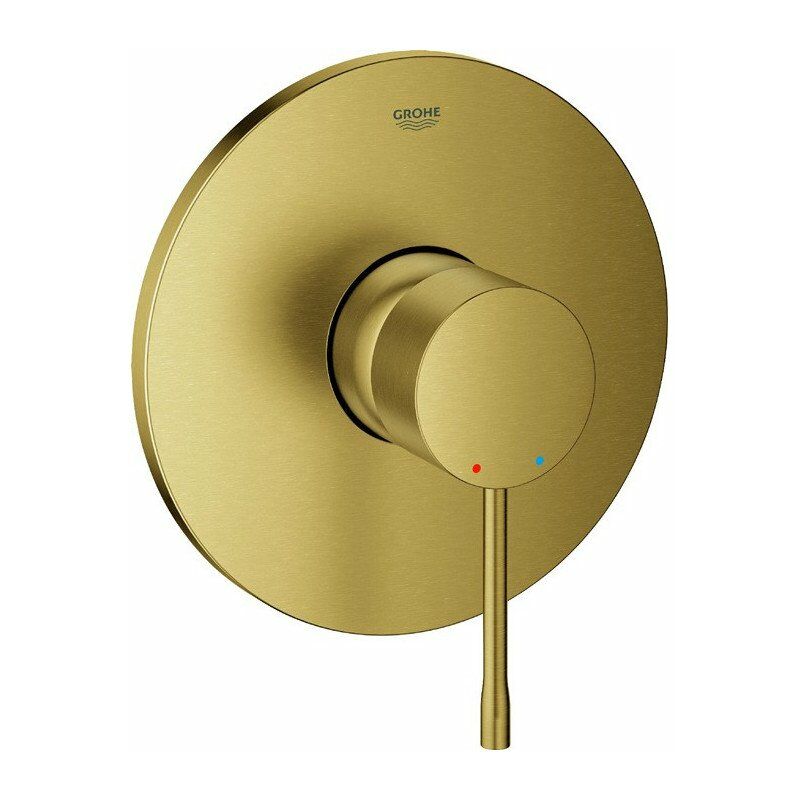 

Mezclador de ducha de mano Essence 24057 FMS para 35600 oro cepillado brillante