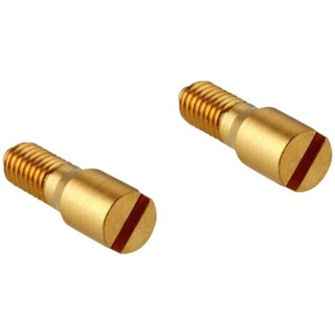 Grohe Schraube 48013 2 Stück chrom PG 02
