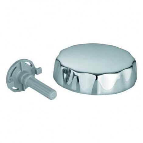 GROHE Umstellgriff 45321 f.Ab-/Überlaufgarnitur 28953 chrom, 45321000