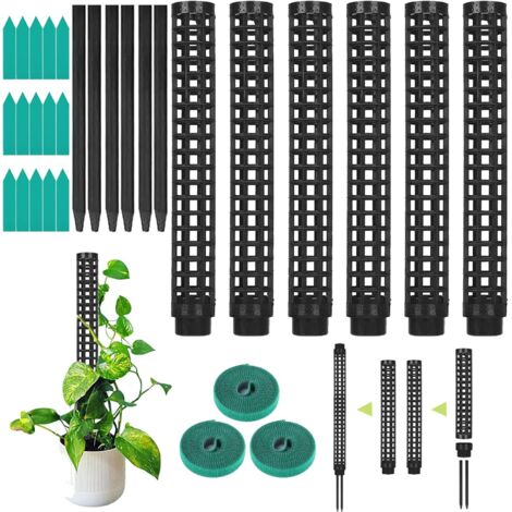 GROOFOO Treillis, Tuteur de Plante, Bâton De Mousse Pour Monstera, Pack de 6, Plantes d'Intérieur Coconut, Poteau de Mousse, Support de Plante, Aide à L'Escalade Monstera