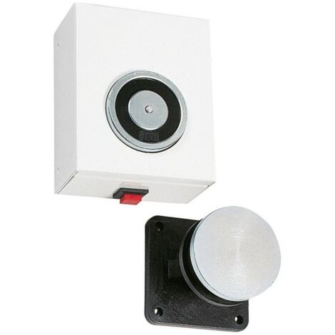Groom – Ventouse 24V avec interrupteur – Fixation solide pour environnements exigeants – Plaque de connexion incluse – Tension 24V