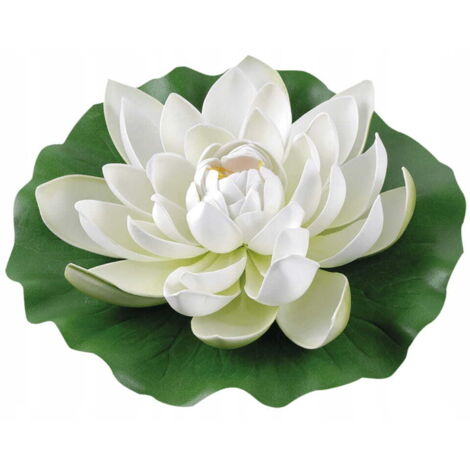 Große weiße Seerose 28 cm