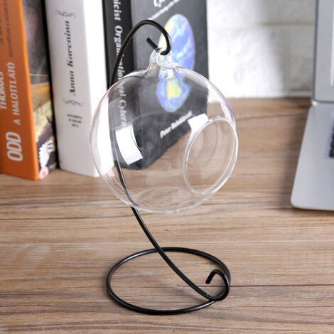 Großes hängendes Glas-Terrarium mit Rahmen für Luftpflanzen und Sukkulenten