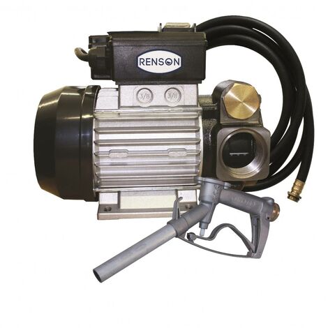 GROUPE DE TRANSFERT 100L/M FLEXIBLE 4M PISTOLET ALU RENSON