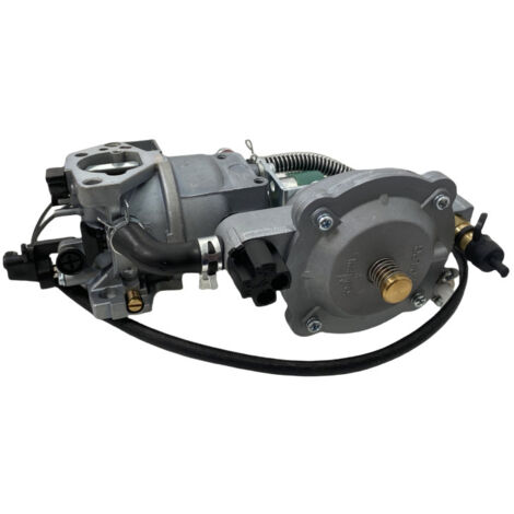 Groupe électrogène 188F avec carburateur à double carburant  groupe électrogène à essence 190F avec carburateur  groupe électrogène GPL/GN avec pompe à eau GX390.