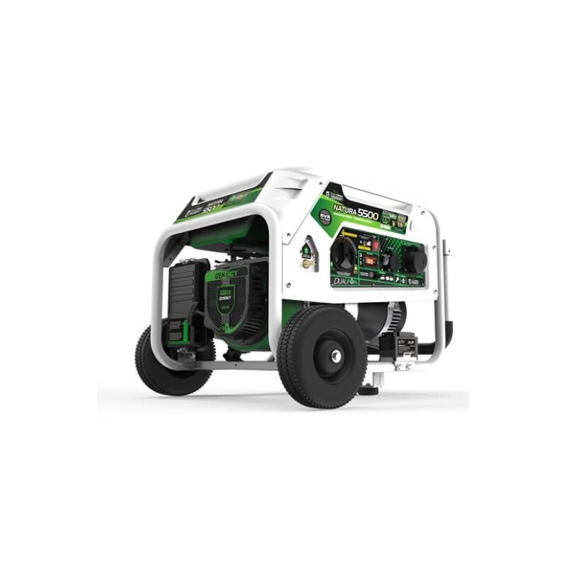 Groupe électrogène natura 5500 gas 5500W pro 5000W 230V e-start