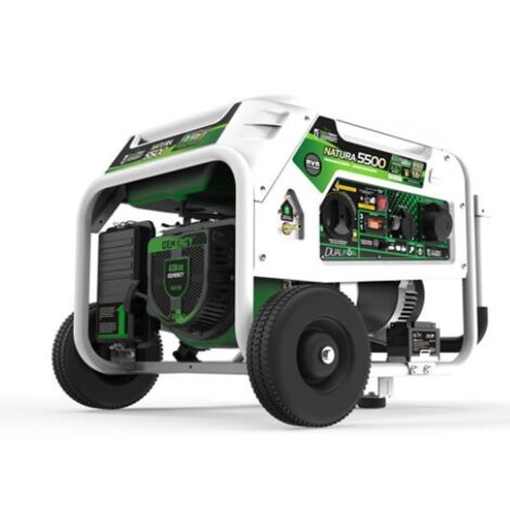 Groupe électrogène NATURA 5500 GAS 5500W PRO 5000W 230V E-START