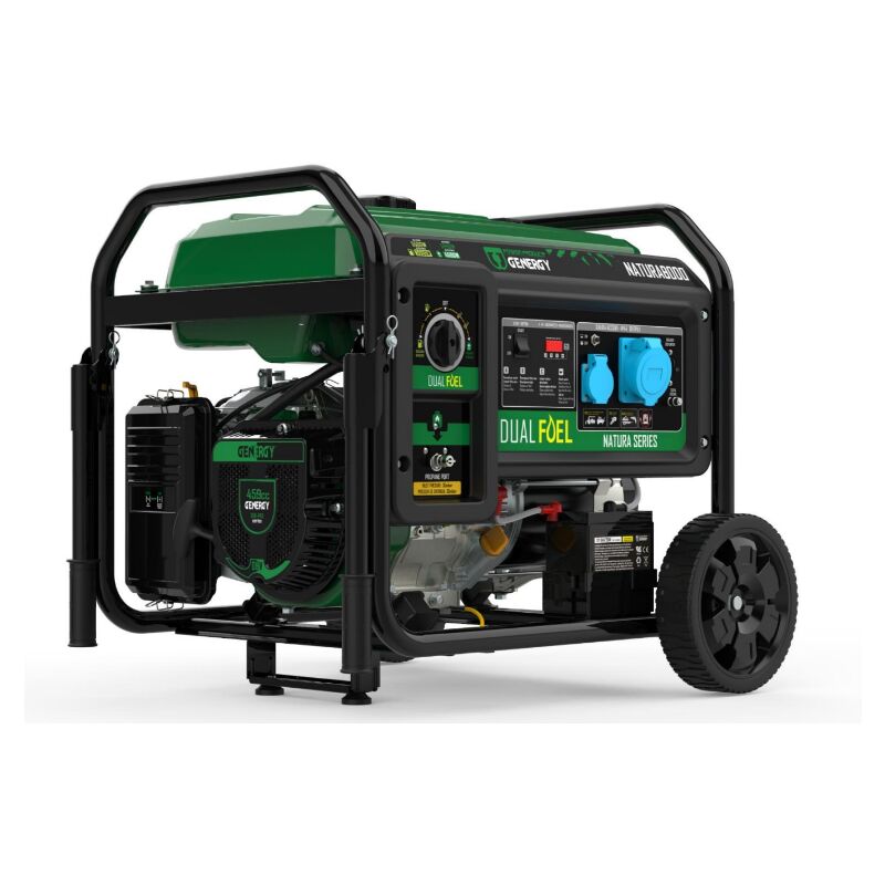 Groupe électrogène NATURA-8000 8500W dual Gaz-Essence