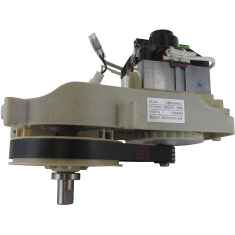 Groupe moteur électrique CASTELGARDEN - GGP 118563696/2