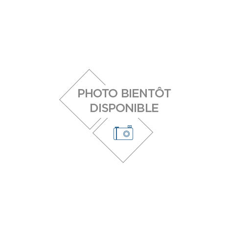 GROUPE TRANSFERT 24V 60L/M PIST MANUEL ALU+FLEX 4M SERTIS RENSON