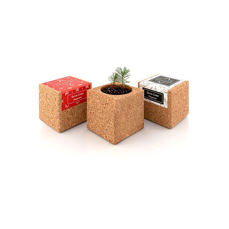 Life In A Bag - Grow Cube aimanté Sapin de Noël - boite verte