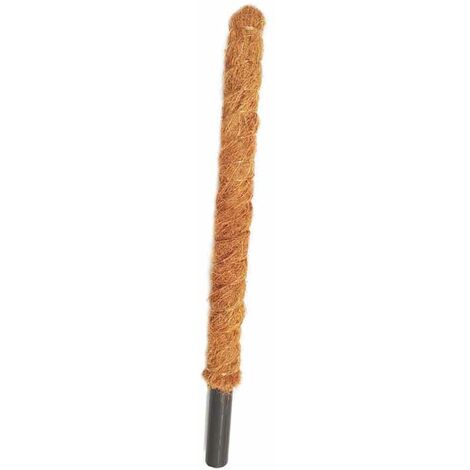 Grow Poles - Fibre/Wood - L5 x W5 x H50 cm