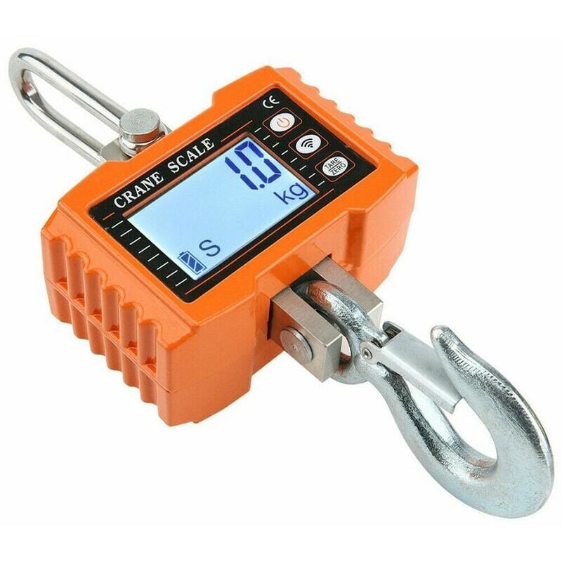 Gru bilancia elettronica da 1000 kg con sensore di...