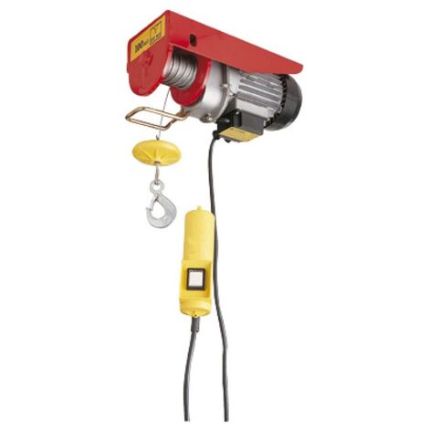 Grúa eléctrica de 500/1000 kg