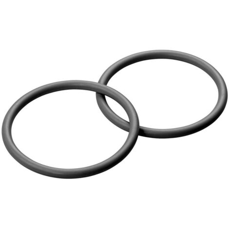 Grünbeck Dichtungssatz für Boxer Feinfilter 1 Zoll
