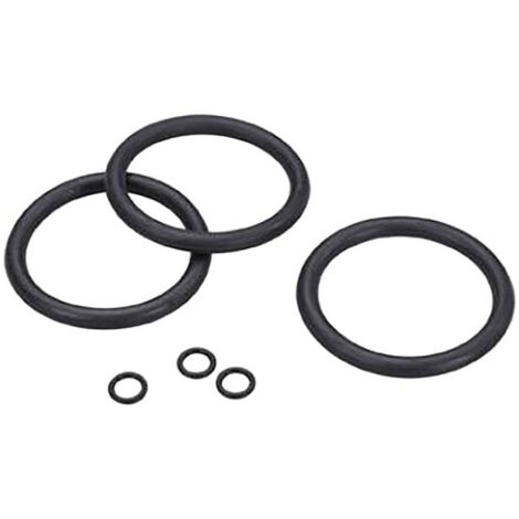 Grünbeck Dichtungssatz zu Feinfilter FS 1" und FSD 1", 3 Stück