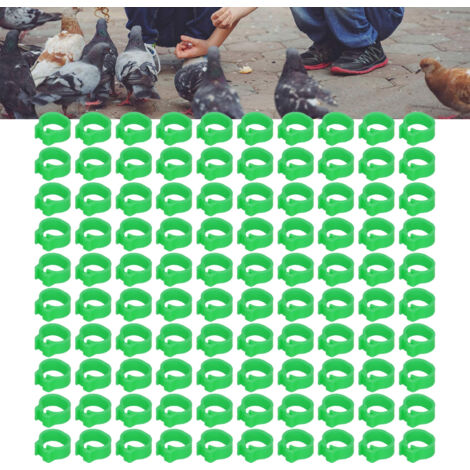 Grüne 8-mm-Taubenmarkierungsringe aus Kunststoff – 100er-Packung zur Kennzeichnung von Taubenküken – Langlebig