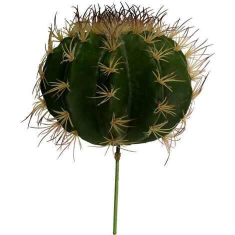 WEBMARKETPOINT Grüner Kaktuszweig cmø25h17-30