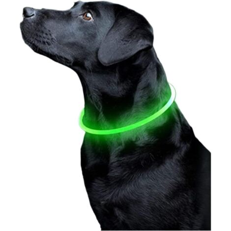 Grünes Hundehalsband, Länge 50 cm, 1 fluoreszierendes Licht, Haustier-Sicherheitshalsband ermöglicht es, Welpen nachts zu sehen
