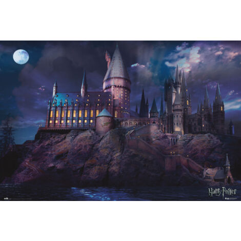 Grupo Erik ERIK - Póster Harry Potter Hogwarts, 61 x 91, 5 cm