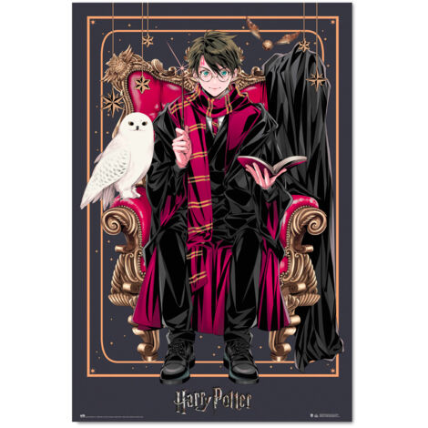 Grupo Erik Poster Harry Potter Wizard Dynasty Harry Potter - Laminas decorativas 61x91,5cm a todo color  Posters para pared ideal decoración habitación Harry Potter regalos Harry Potter merchandising