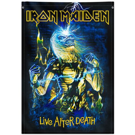 Grupo Erik: Wall Scroll Iron Maiden Poster tela da parete Iron Maiden, 70 x 100 cm, resistente e facile da appendere - Iron Maiden Gadget, Iron Maiden Poster