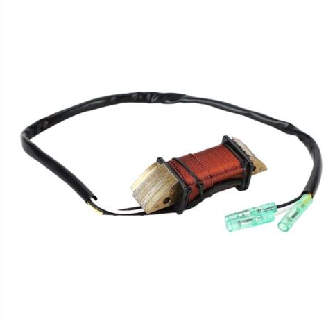 Gruppo bobina di illuminazione per fuoribordo M 9.9 15 18 2002-2003 3G2-06023-1