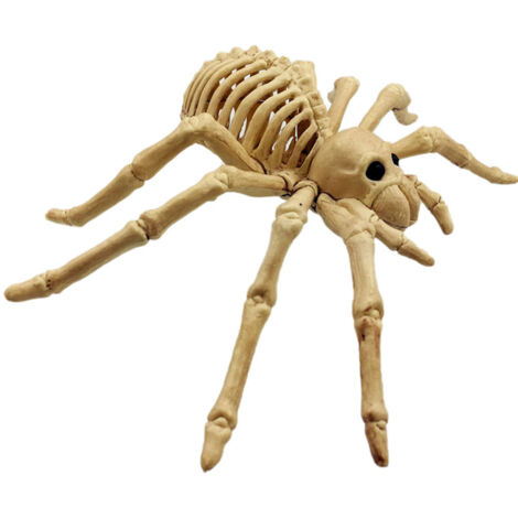 Gruseliges Spinnenskelett-Modell – Realistische Halloween-Dekoration